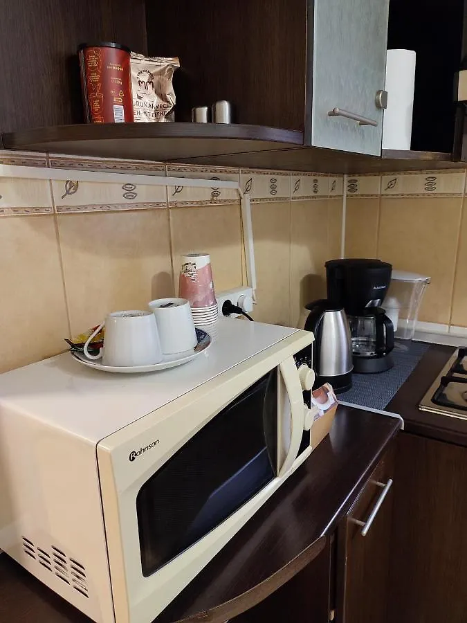 Radu'S Guest House Bucharest