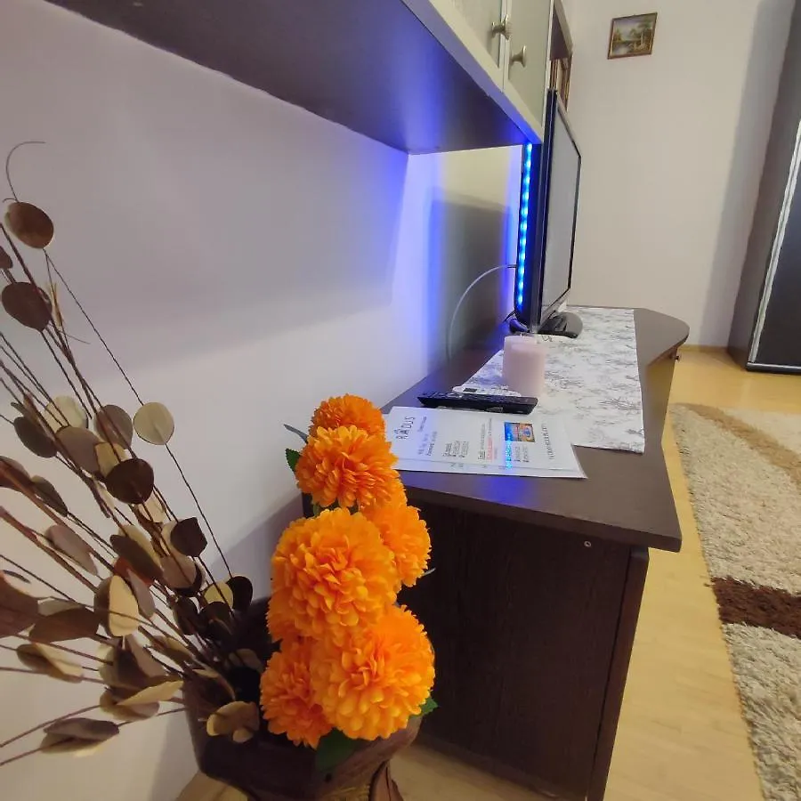 Apartment Radu'S Guest House Bucharest Romania