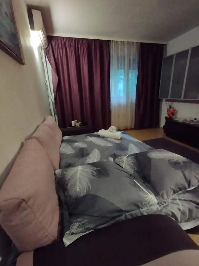 Radu'S Guest House Bucharest
