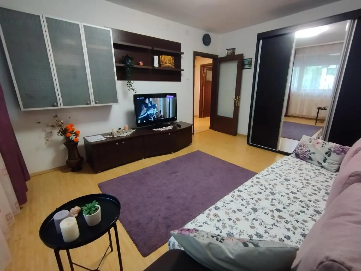 Radu\'S Guest House location